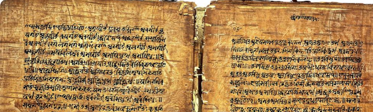 A 17th-century birch bark manuscript of Panini's grammar treatise from Kashmir